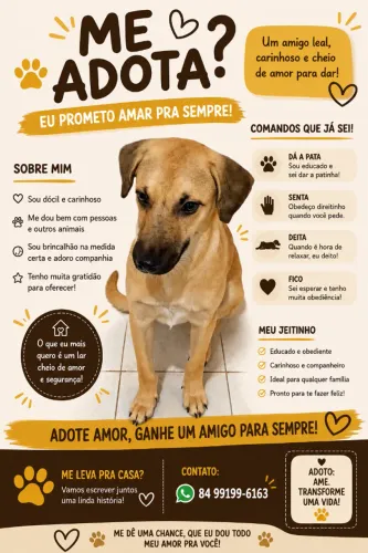 À Procura de um Lar!