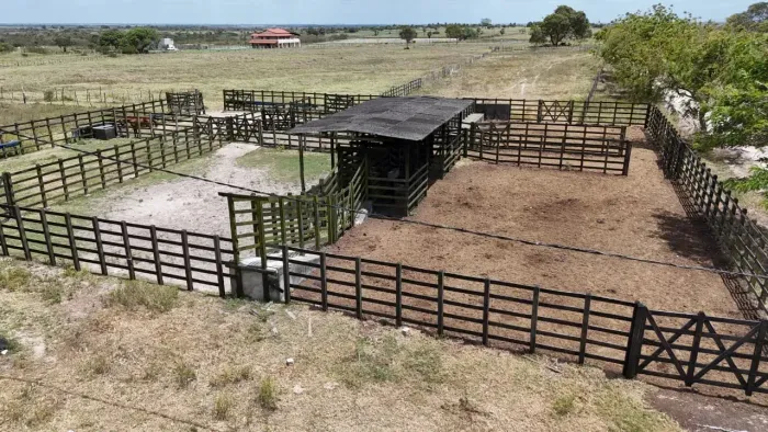 Excelente fazenda com 250 hectares entre Brejinho e Lagoa de pedras