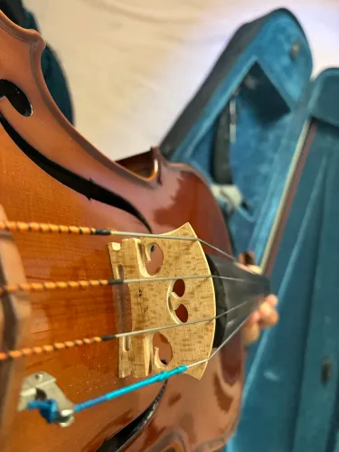 Viola de Arco Eagle 