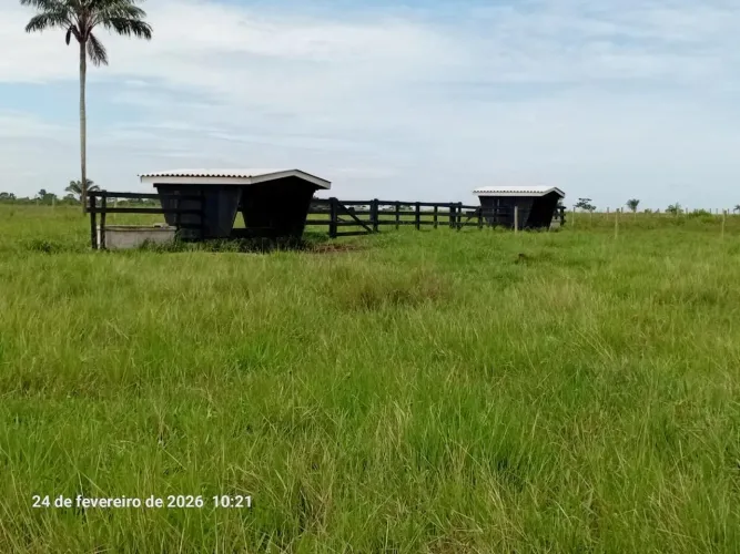 FAZENDA MORUMBI À VENDA - ALVORADA DO OESTE/RO | FRENTE PARA A BR-429