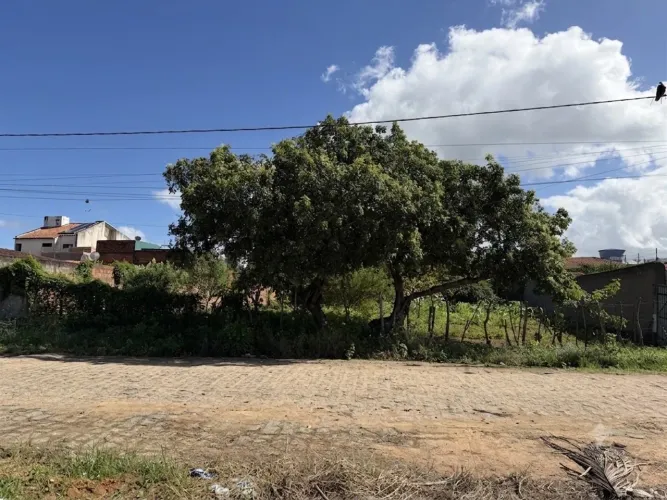 Vende - se amplo Terreno de 577,21m² em Rua Calçada e com Frente Livre!