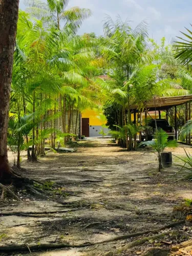 Sítio Paraíso com Mais de 20.000m² | Igarapé Privativo | Estrutura Completa para Lazer e E