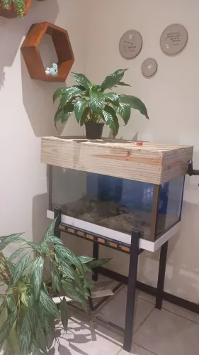 Aquário de peixes grande decoração