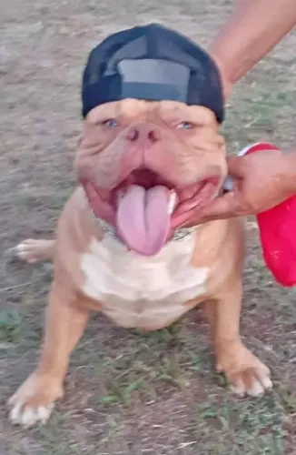 Pit