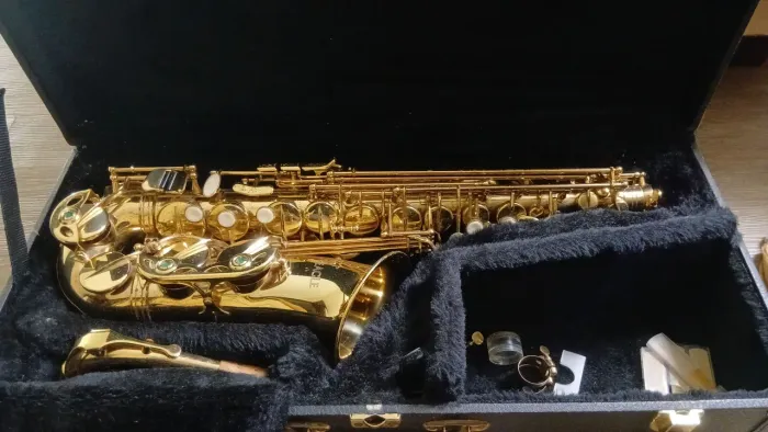 Sax Alto Eagle