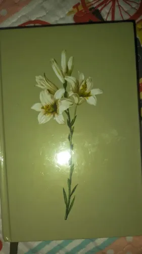 Bíblia Sagrada NVI 