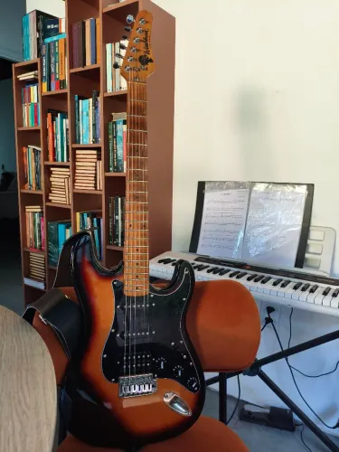 Washburn Lyon 1994