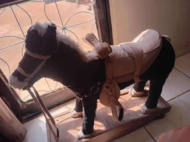 Cavalo infantil