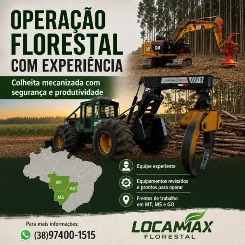 Corte e arraste florestal mecanizado