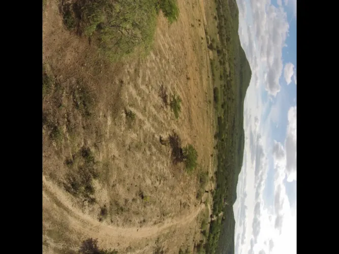 Fazenda/Sítio/Chácara para venda possui 1200000 metros quadrados