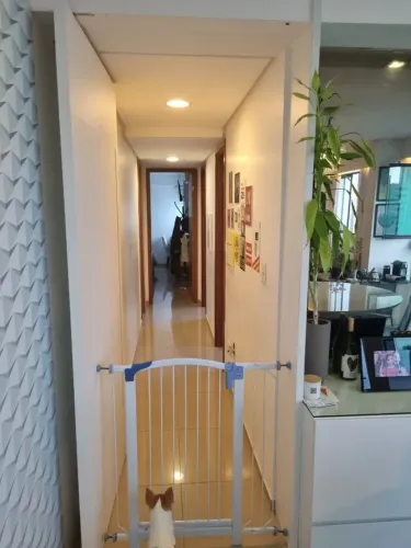 Apartamento para venda tem 105 m² com 3 quartos em Casa Forte - Recife - PE