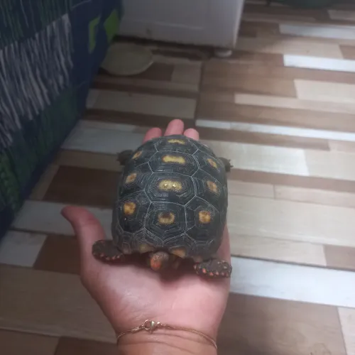 Transformando a sua vida!