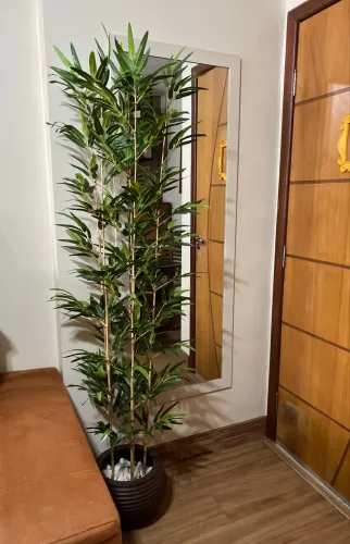 Bambu decorativo