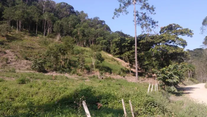 Vendo Sítio com 12 alqueires em Sete Barras SP