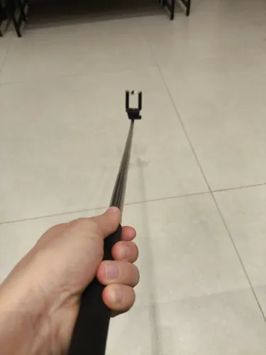 Pau de selfie