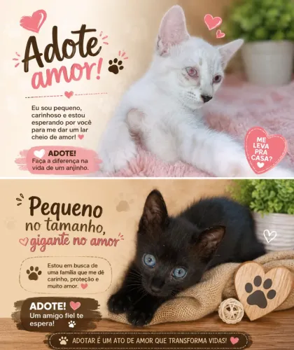Adoção 