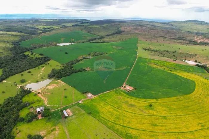 Fazenda 1.027 ha em Flores de Goiás | 400 ha Potencial Agrícola | Água Abundante