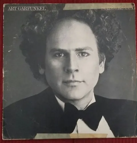 Disco de Vinil