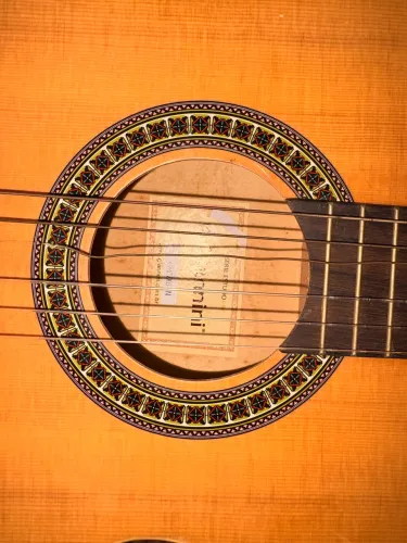 Violão Giannini GWNX6 N - Semi-novo + Capa Inclusa