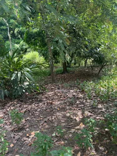 vendo ou troco lindo sítio com 3 casas !!