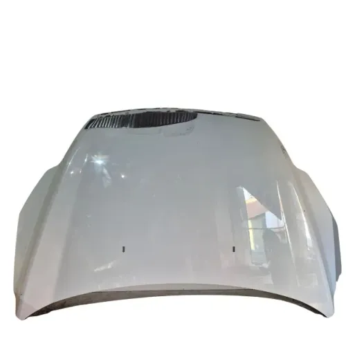 Capô Ford Focus 2009 2010 2011 2012 Original 26336 