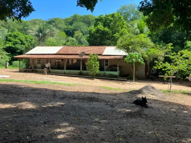 COD.535 Fazenda a venda de 320 hectares em Cipolândia / MS.