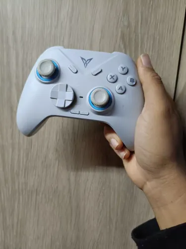 Controle flydigi direwolf 