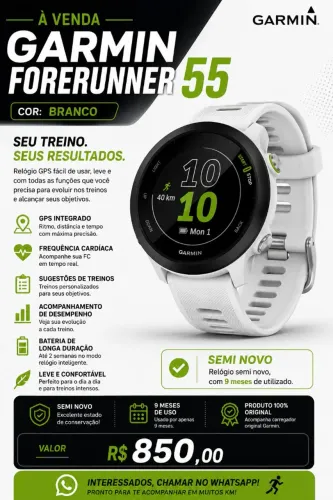 Garmin 55