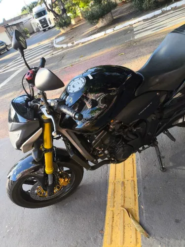 Hornet preta 2013