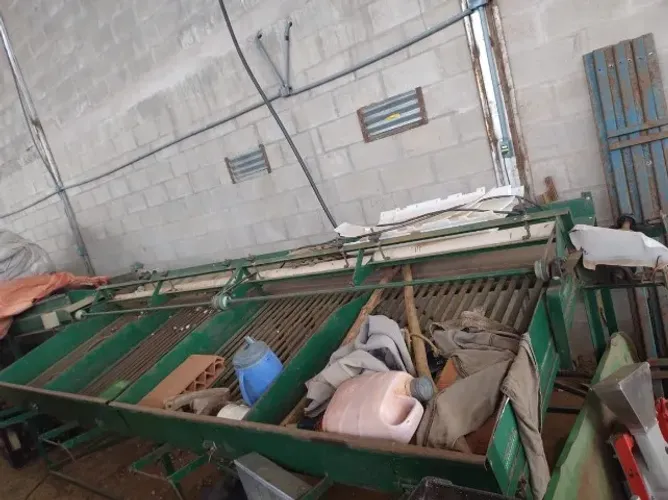 maquina de beneficiar cebola