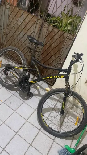 Caloi andes