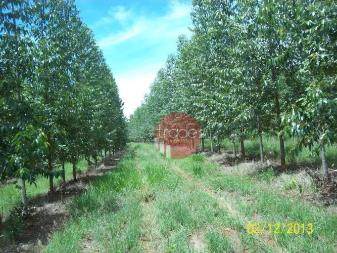 Fazenda com 1 dormitório à venda, 8820000 m² por R$ 22.000.000,00 - Centro - Buritizeiro/M