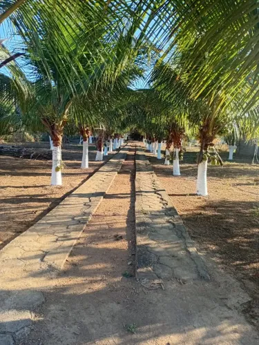 Vendo chácara em Marilac ( Minas Gerais)