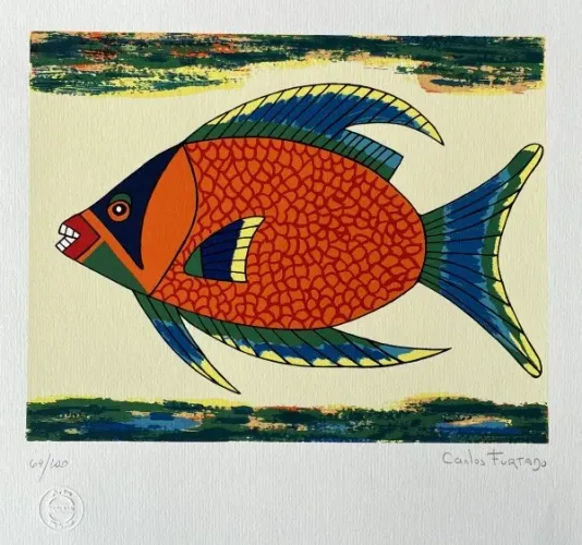 Gravura Carlos Furtado 29x39 cm