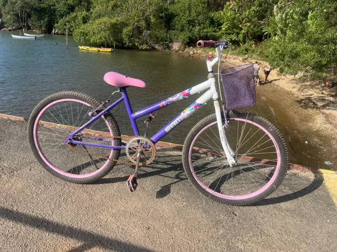 Bicicleta feminina