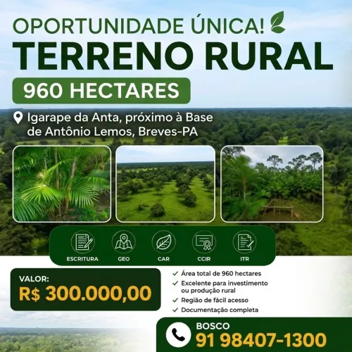 Terreno de acaizal