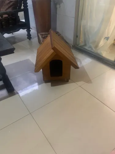 Casinha pra cachorro de pequeno porte 