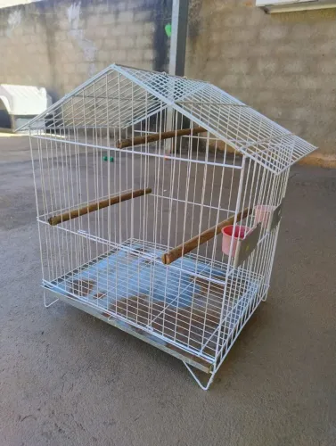 Gaiola para pássaros/ calopsita
