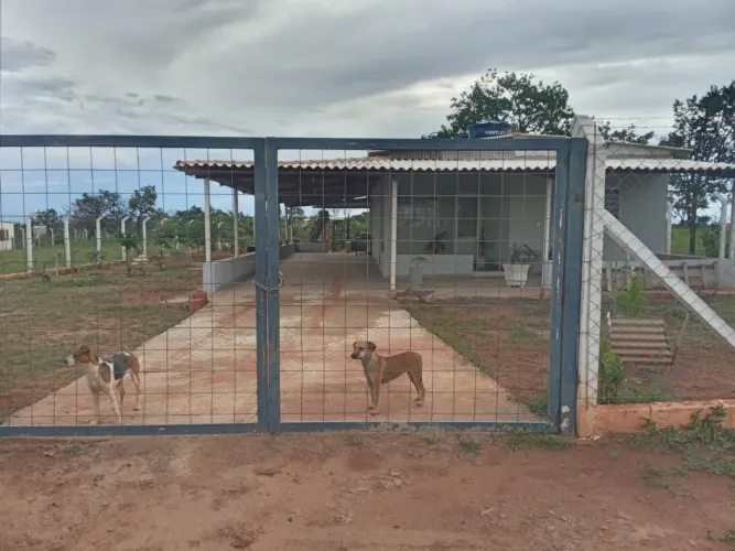Excelente chácara com casa nova e pomar