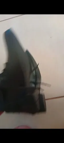 Bota 