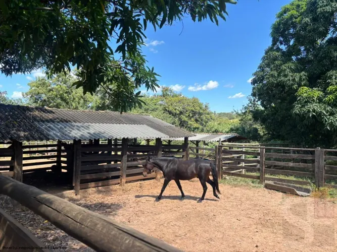 Fazenda para Venda em Buenópolis, Curimataí