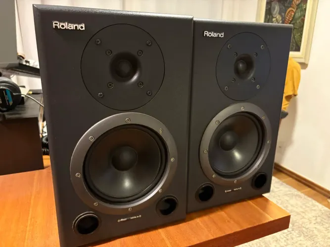 Par de monitores de audio Roland DS-90A, para