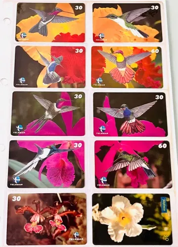 Kit Com 10 Cartões Telefônicos Beija-Flor e Flores 