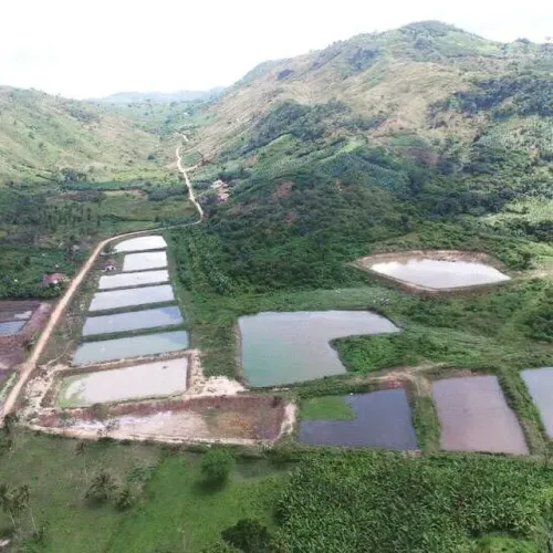 Fazenda de Piscicultura e Carcinicultura à Venda - Bananeiras/PB