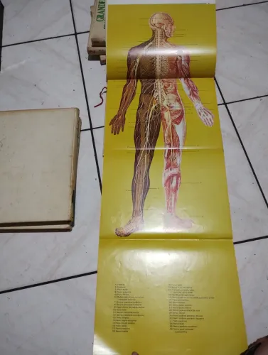 ENCICLOPÉDIA MÉDICA ILUSTRADA Editora ABRIL