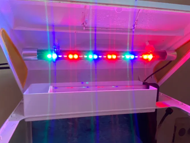 AQUÁRIO PARA PEIXES 36L