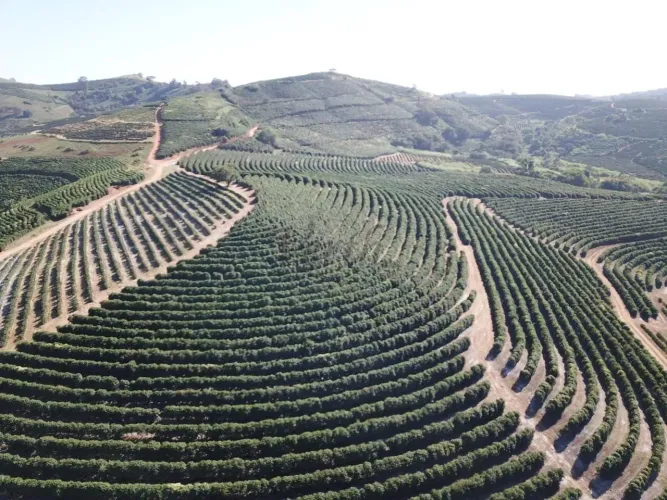 Fazenda de Café à Venda, 406,56 ha Caconde/SP