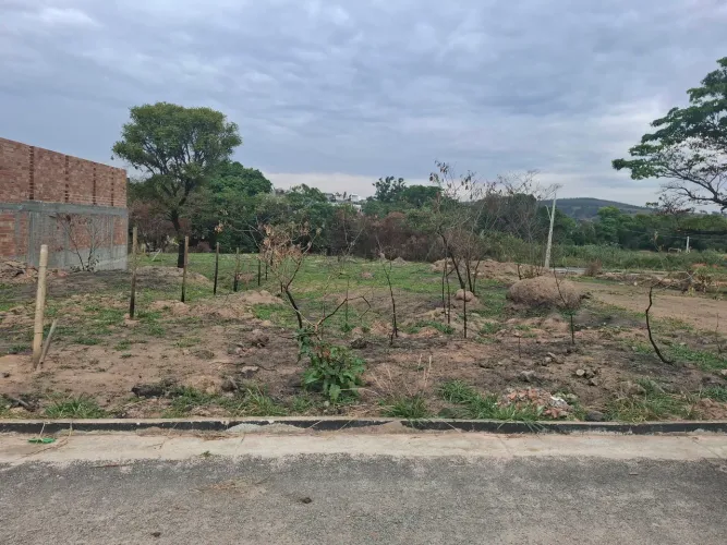 Lote em Nova Serrana