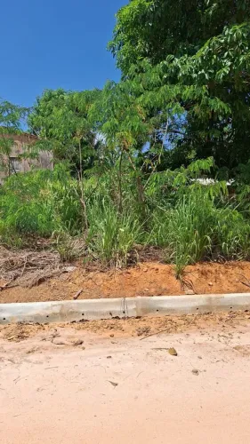 Lote para venda logo.