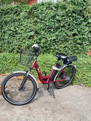 Ebike L Plus